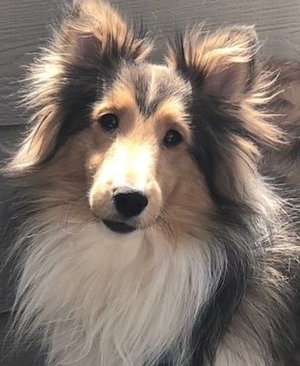 Aspen