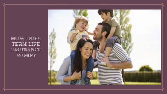 Term Life Insurance Quotes