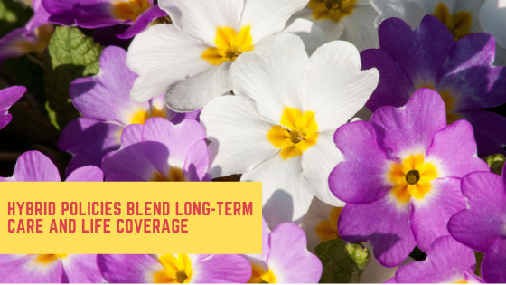 Life Insurance | Long-Term Care Insurance | Life Insurance Quote