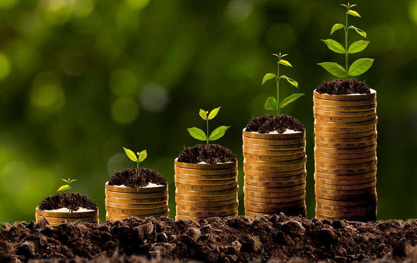Annuity | Annuity Quote